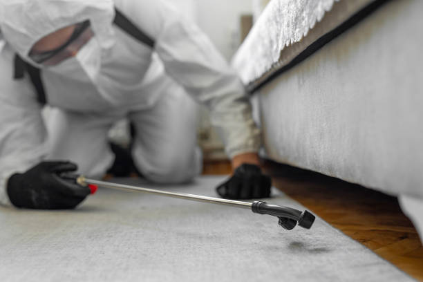 Professional Termite Control technician working in Rowan County County, NC